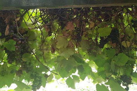 Photo of property in 199 Waituna Road, Pahiatua, 4982