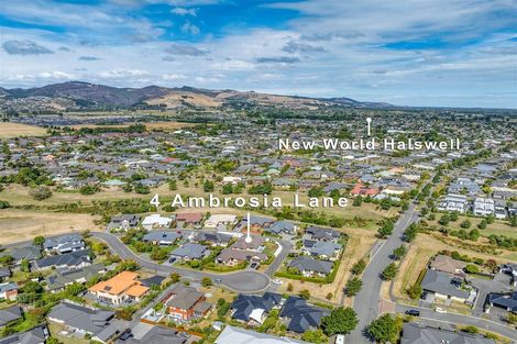 Photo of property in 4 Ambrosia Lane, Aidanfield, Christchurch, 8025
