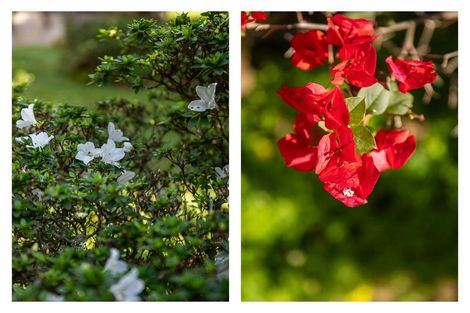 Photo of property in 101 Tararu Road, Thames, 3500