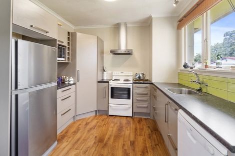 Photo of property in 45 Harris Street, Pleasant Point, 7903