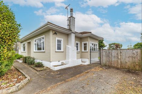 Photo of property in 13 Winchester Street, Levin, 5510