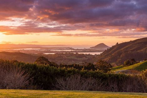 Photo of property in 157e Kaiate Falls Road, Waitao, Tauranga, 3175