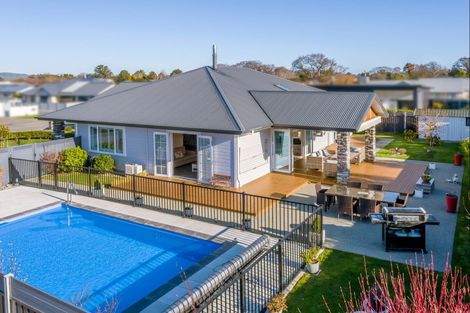 Photo of property in 31 Westwood Avenue, Greytown, 5712