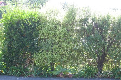 Photo of property in 49 Beulah Avenue, Rothesay Bay, Auckland, 0630