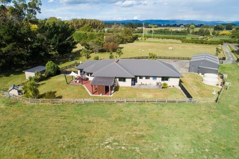 Photo of property in 420 Kairanga Bunnythorpe Road, Bunnythorpe, Palmerston North, 4478