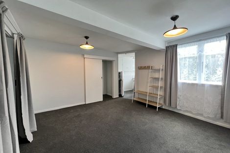 Photo of property in 29 Arlington Street, Mount Cook, Wellington, 6011