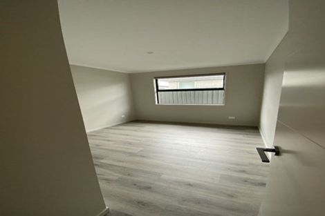 Photo of property in 52 Hammick Crescent, Pyes Pa, 3112