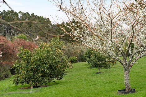 Photo of property in 101 Mount Albion Rise, Taupaki, Henderson, 0782