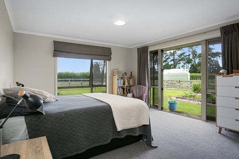 Photo of property in 165 Buckland Road, Matamata, 3472