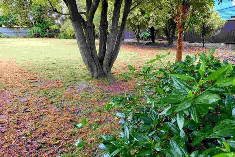 Photo of property in 9 Ascot Place, Netherby, Ashburton, 7700