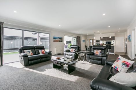 Photo of property in 3 Pelorus Avenue, Poraiti, Napier, 4112