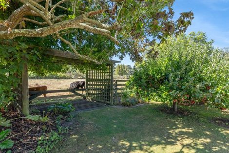 Photo of property in 11 Nepia Road, Marybank, Whanganui, 4572