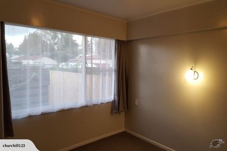 Photo of property in 133 Fitzroy Avenue, Fitzroy, Hamilton, 3206