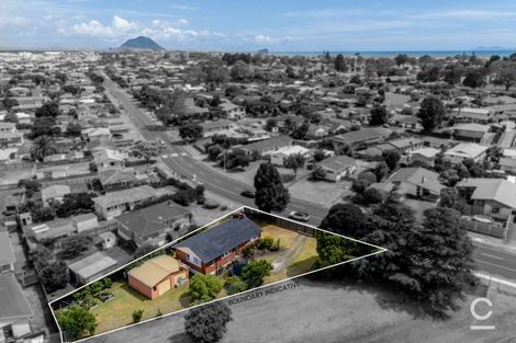 Photo of property in 120 Links Avenue, Mount Maunganui, 3116