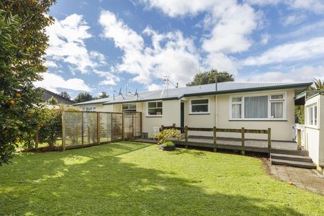 Photo of property in 116 Manawatu Street, Hokowhitu, Palmerston North, 4410