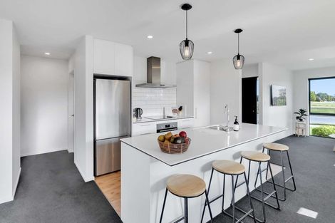 Photo of property in 37 Mcgrath Drive, Lincoln, 7608