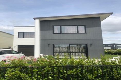 Photo of property in 46 Tennille Street, Flagstaff, Hamilton, 3210