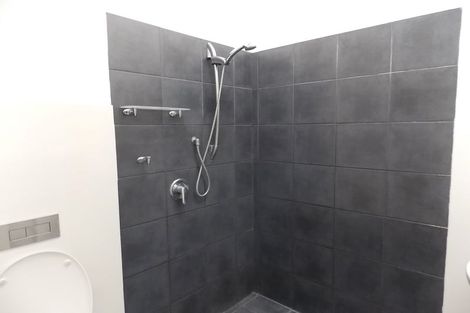 Photo of property in Vicino Apartments, 31/33 Taranaki Street, Te Aro, Wellington, 6011