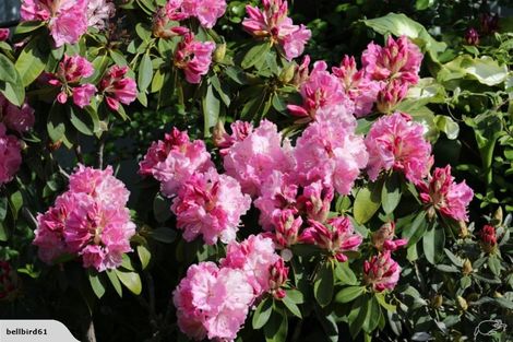 Photo of property in 12 Matai Place, Waikawa, Picton, 7220