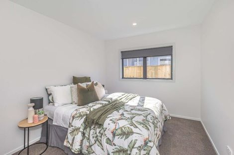 Photo of property in 30a Middlesex Street, Levin, 5510