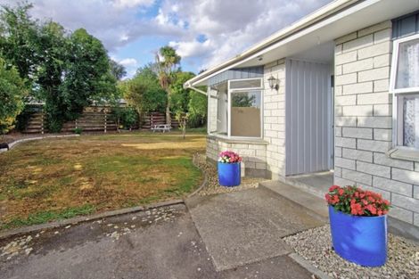 Photo of property in 22 Plunket Street, Solway, Masterton, 5810