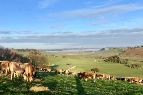 Photo of property in 182 Morrison Road, Arapohue, Dargaville, 0374