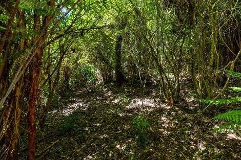 Photo of property in 34 Tirimoana Terrace, Anakiwa, Linkwater, 7281