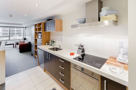 Photo of property in Monument Apartments, 2e/245 Wakefield Street, Te Aro, Wellington, 6011