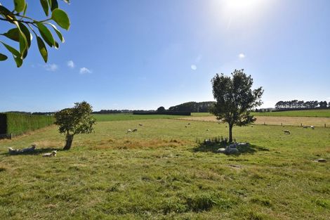 Photo of property in 214 Otahuti Wrights Bush Road South, Waianiwa, Invercargill, 9874