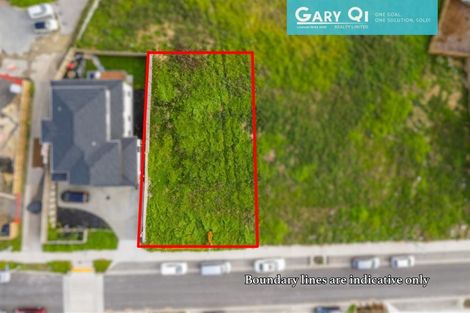 Photo of property in 34 Mcwhirters Farm Lane, Massey, Auckland, 0614