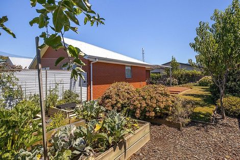 Photo of property in 16 Kitakita Grove, Motueka, 7120
