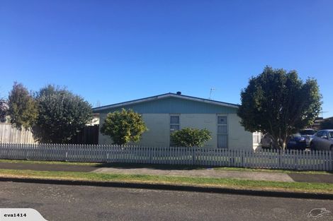 Photo of property in 53 Featherston Street, Levin, 5510