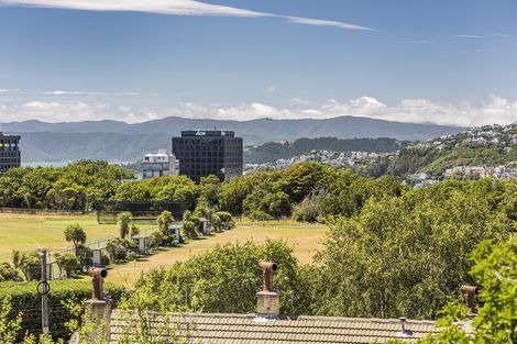 Photo of property in Greenmantle Flats, 88a Salamanca Road, Kelburn, Wellington, 6012