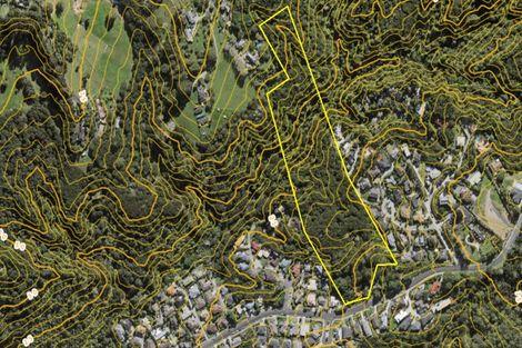 Photo of property in 83 Glendhu Road, Bayview, Auckland, 0629