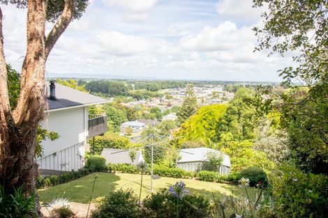 Photo of property in 49 Wood Street, Paeroa, 3600