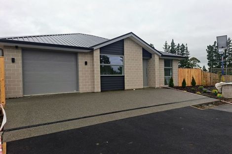 Photo of property in 35 Ella Street, Rolleston, 7614