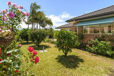 Photo of property in 69 Athfield Drive, Bethlehem, Tauranga, 3110