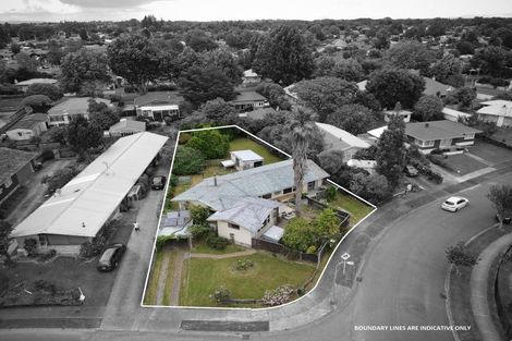 Photo of property in 19 Patricia Avenue, Hamilton East, Hamilton, 3216