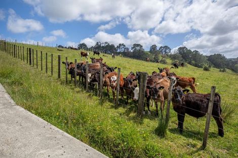 Photo of property in 450 Komokoriki Hill Road, Makarau, Warkworth, 0981