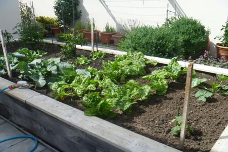 Photo of property in 32a Larch Crescent, Alexandra, 9320