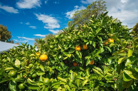 Photo of property in 271b Grey Street, Palmerston North, 4414