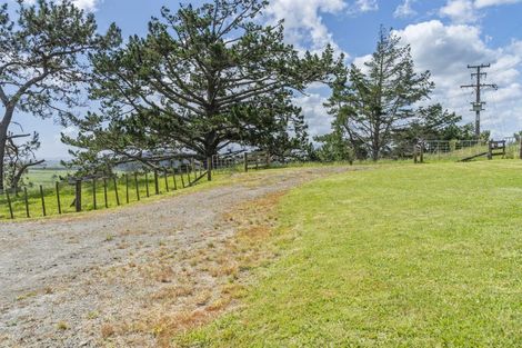 Photo of property in 317 Waihue Road, Dargaville, 0372