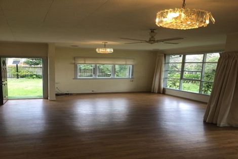 Photo of property in 19 Marshall Street, Fairfield, Hamilton, 3214