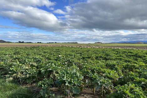 Photo of property in 173 Happy Valley Road, Owhiro Bay, Wellington, 6023