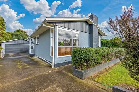 Photo of property in 132 Limbrick Street, Terrace End, Palmerston North, 4410