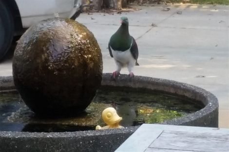 Photo of property in 78 Manawapou Road, Hawera, 4610