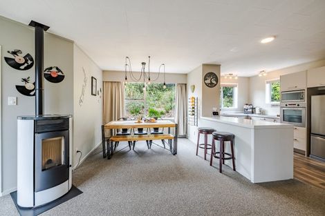 Photo of property in 33 Elliffe Place, Shiel Hill, Dunedin, 9013