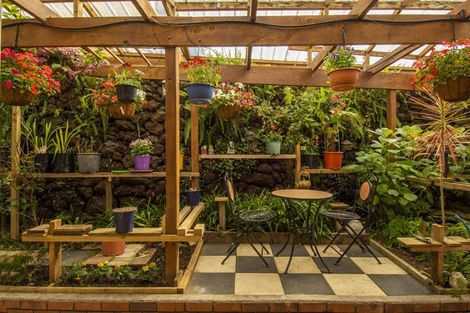 Photo of property in 10 Anchorage Grove, Maungatapu, Tauranga, 3112