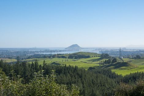 Photo of property in 565a Upper Ohauiti Road, Ohauiti, Tauranga, 3173