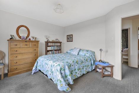 Photo of property in 39 Domain Road, Bannockburn, Cromwell, 9384